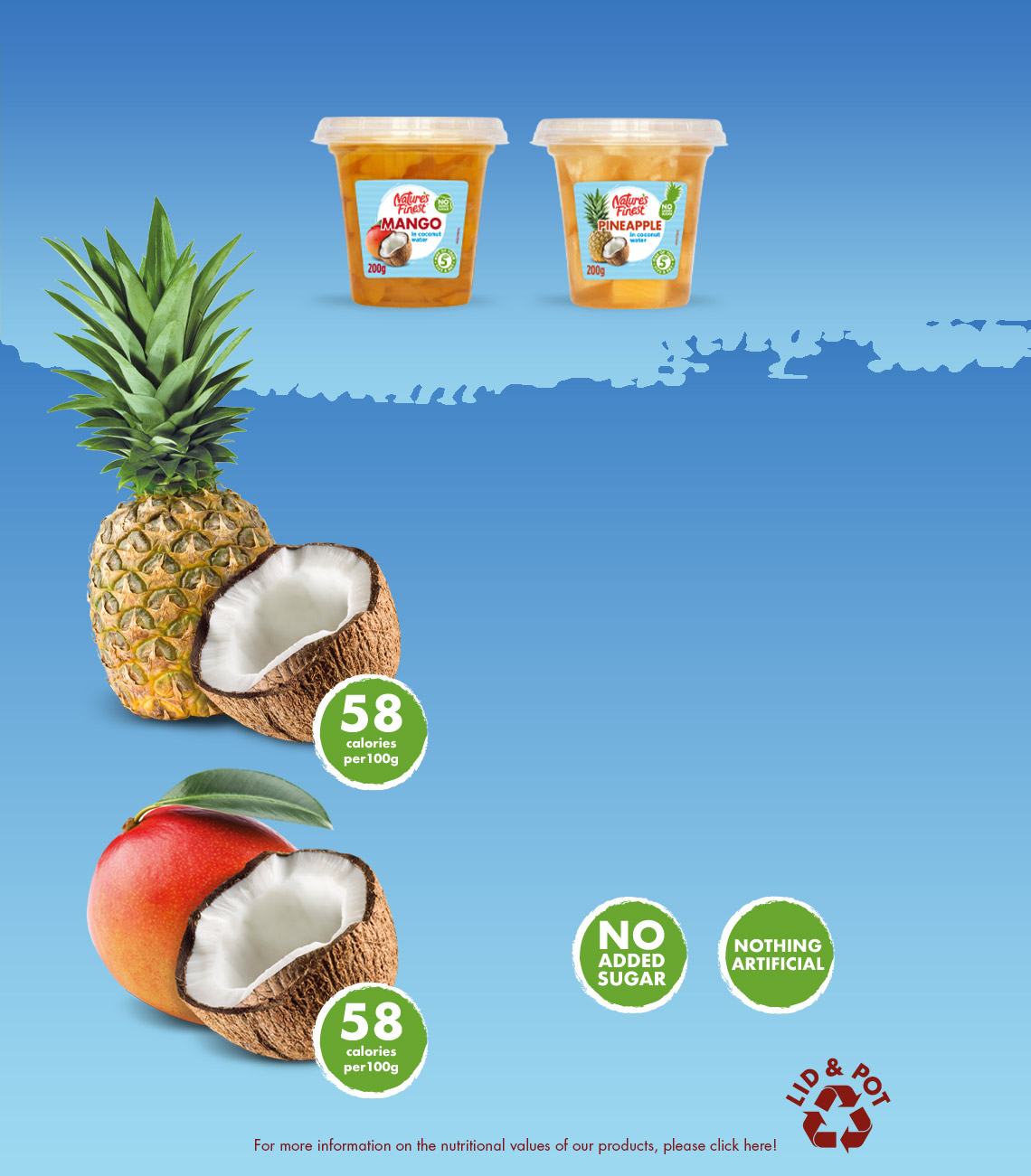 Coconut Water Products