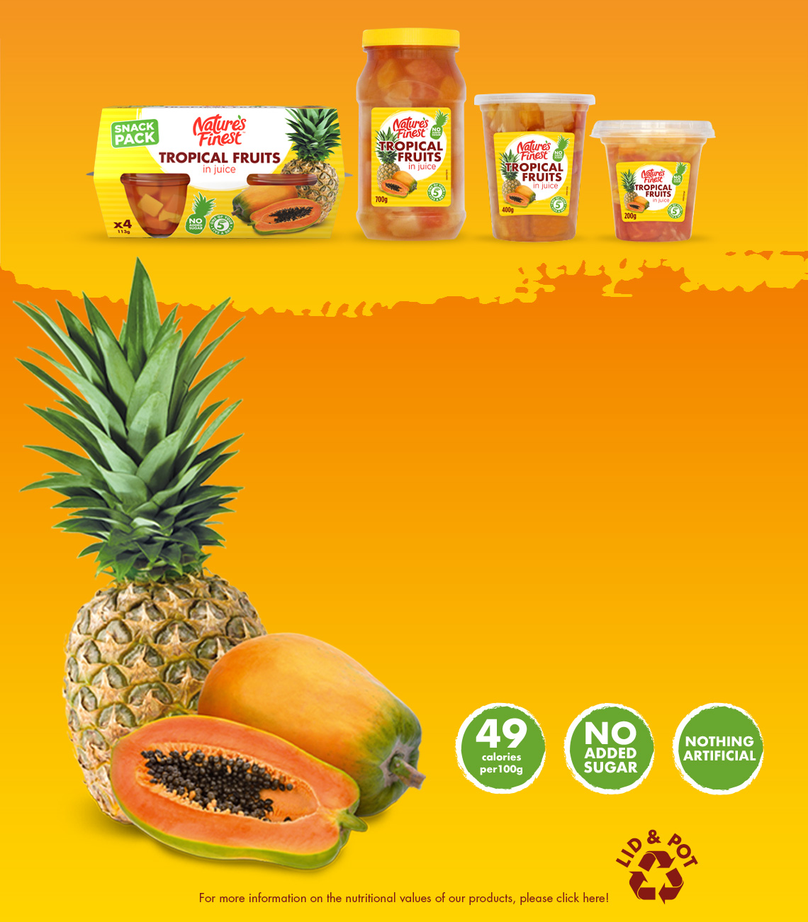 Tropical Fruits Products